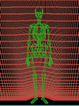pic for Skeleton Scan